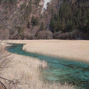 Meet your Posher, June